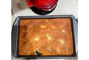 Orion Governance offers up nian gao with some data management news