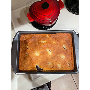 Orion Governance offers up nian gao with some data management news