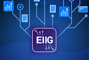 EIIG’s Self-Defined Data Fabric and the Alignment with COBIT 5's Five Principles Orion Governance